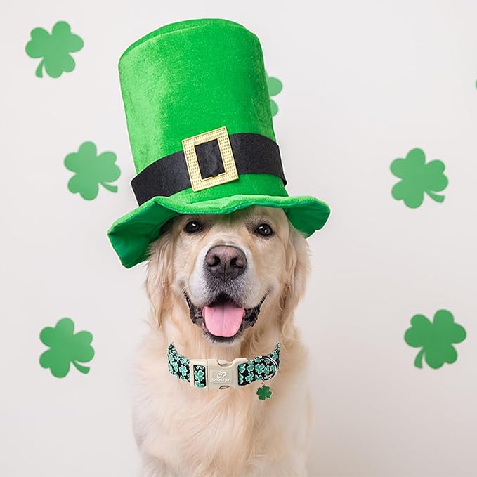 St Patricks Day Dog Collar for Small Dogs - Green Lucky Shamrock Boy Dog Collars, Irish Clover Pattern Black Male Puppy Collar with Quick Release Buckle XS