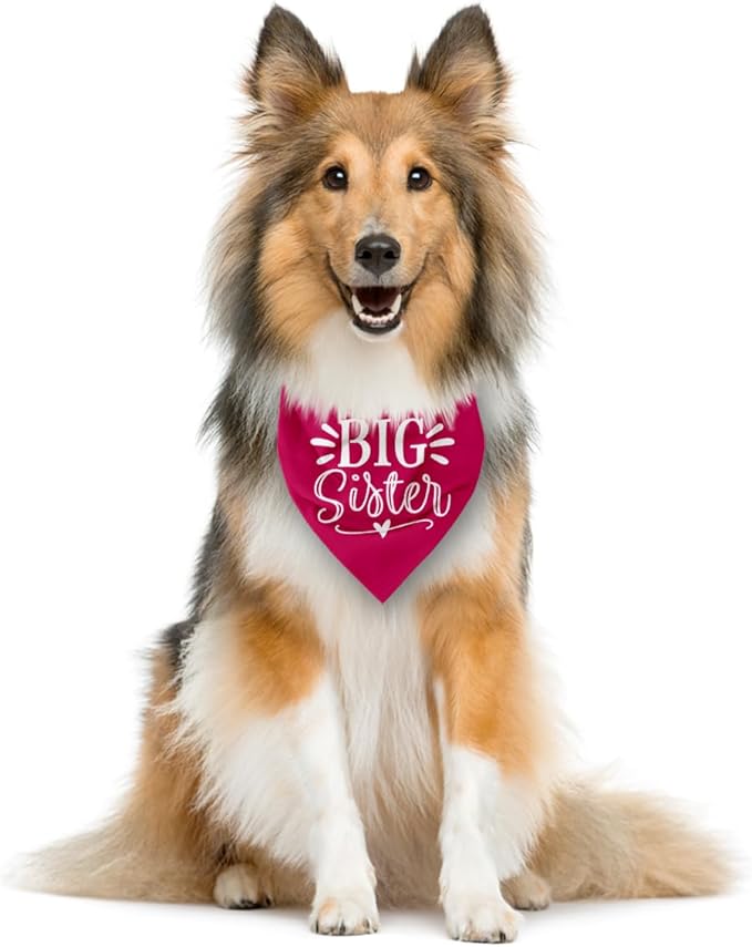 Big Sister Dog Bandana, Deep Pink Dogs Scarf Accessories, Pet Triangle Scarf, Pet Bandana for Large Dogs, Baby Announcement Dog Bandanas (L)