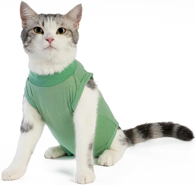 Cat Recovery Suit Cat Onesie for Cats After Surgery Female Male Spay Kitten Neuter Surgical Bodysuit Post Surgery Cone of Shame Alternative Anti Licking (Green, Large)
