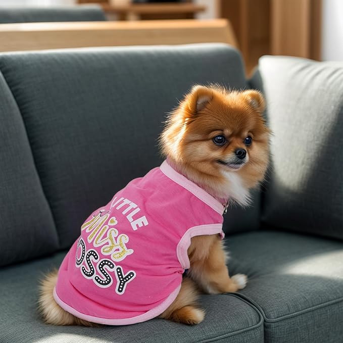 4 Pack Dog Shirts Summer Printed Puppy Clothes Cute Sleeveless Pet T Shirts Dog Clothes for Small Medium Dogs Cats Girl(XS)
