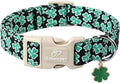 St Patricks Day Dog Collar for Medium Dogs - Green Lucky Shamrock Boy Dog Collars, Irish Clover Pattern Black Male Puppy Collar with Quick Release Buckle M