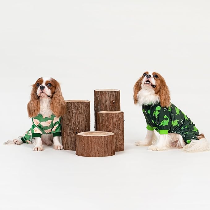 Fitwarm Funny Sheep Dog Pajamas, Warm Winter Dog Clothes for Small Dogs Boy Girl, Cozy Pet Onesie with Feet, Green, White, Large
