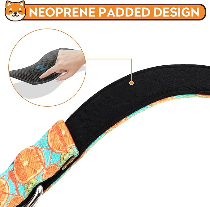 Reflective Dog Collar, Adjustable Soft Neoprene Padded Nylon Pet Collars with Buckle for Puppy and Small Dogs, Cats, Summer Lemon,XL