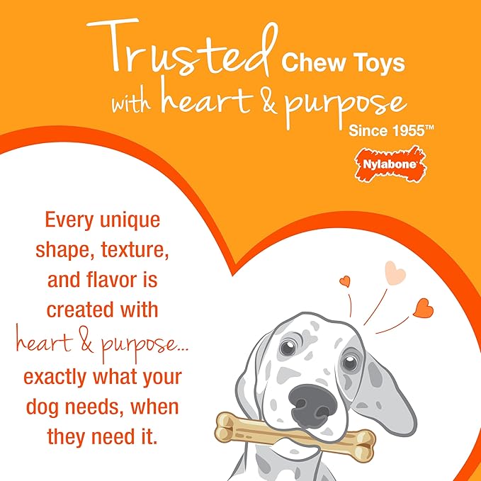 Nylabone Original & Textured Bone Power Chew Toy for Dogs, Durable & Tough Dog Toys for Aggressive Chewers, Basted Blast Bacon and Steak Flavor, Small Dogs - Up to 25 lbs, 2 Pack