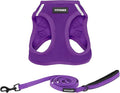 Best Pet Supplies Voyager Step-in Air All Weather Mesh Harness and Reflective Dog 5 ft Leash Combo with Neoprene Handle, for Small, Medium and Large Breed Puppies - Set (Purple), M