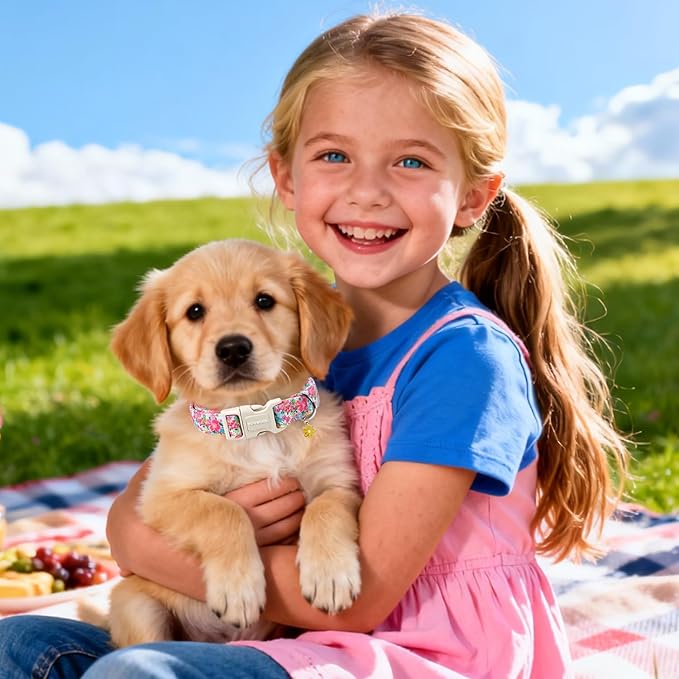DOGWONG Spring Flower Dog Collar-Cute Floral Daisy Dog Collar, Adjustable Soft Girl Female Dog Collar for Small Dogs, XS