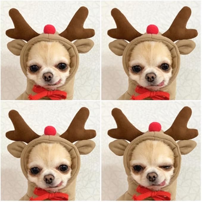 Warm Dog Winter Clothes Cute Fruit Dog Coat Hoodies Fleece Pet Dogs Costume Jacket for French Bulldog Chihuahua Ropa para Perro(Coffee,L)
