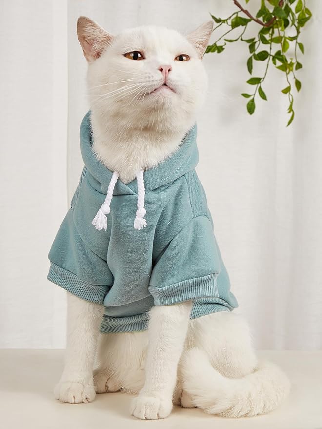 QWINEE Basic Dog Hoodie Sweatshirt Puppy Sweater Warm Cat Costumes Pet Clothes for Chihuahua Puppy Kitten Small Medium Dogs Multicolored Large