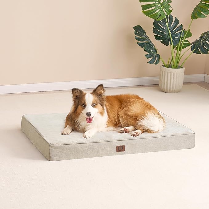 EHEYCIGA Waterproof Dog Bed Orthopedic 35"x23", Memory Foam Pet Bed for Larged Size Dogs, Washable Pet Mat with Removable Cover, Beige
