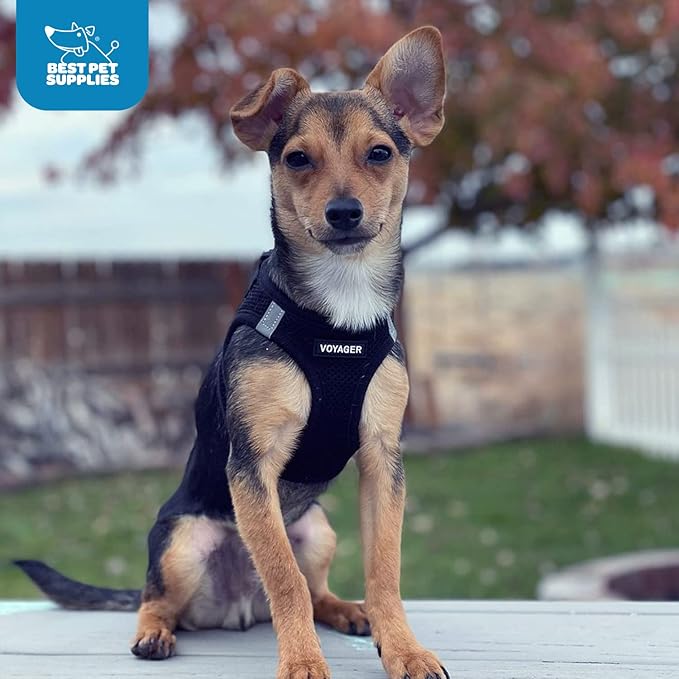 Best Pet Supplies - All Weather Mesh / Plush, Reflective, No Pull Harness for Small, Medium Dogs, Cats - Secure with Hook & Loop Fastener, Buckle, Double D-Rings - Black/Black Trim, S