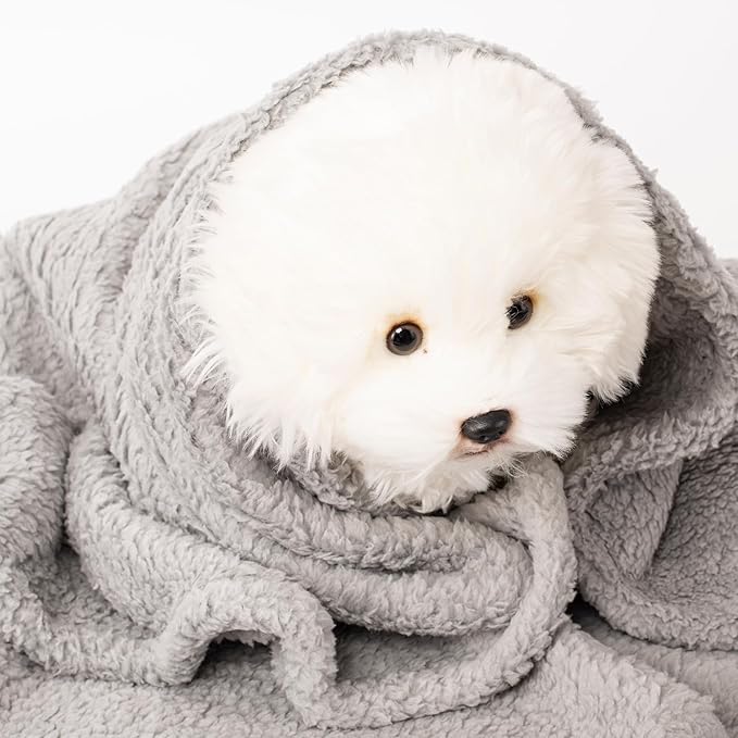 2 Blankets, Dog Cat Pet Blanket, Soft Warm Fleece, for Puppy, Small Dogs or Kitten, Cats, Plush Fuzzy Blanket for Bed, Sofa, Travel (60" x 40", 2/Pack, Beige+Light Gray)
