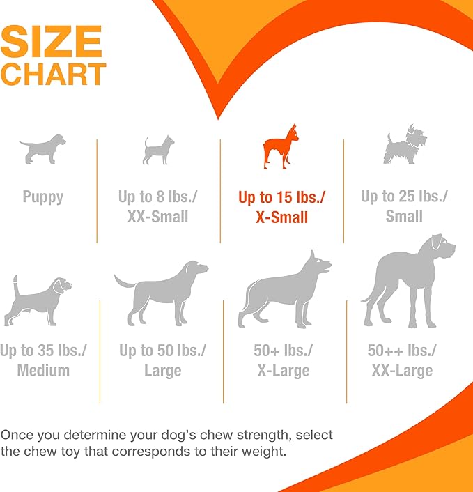 Nylabone Textured Bone Power Chew Toy for Dogs, Durable & Tough Dog Toys for Aggressive Chewers, Beef Jerky Flavor, X-Small Dogs - Up to 15 lbs, 1 Count