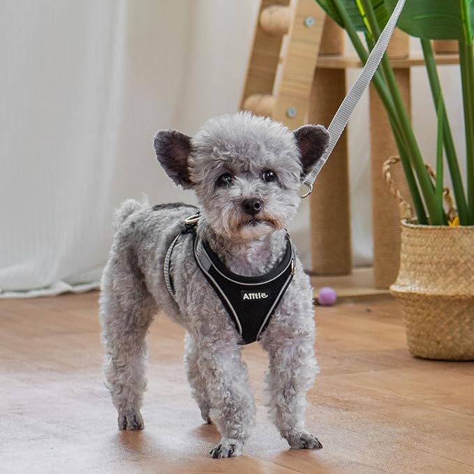 AIITLE No Pull Dog Harness and Leash Set, Step in Adjustable Dog Harness with Padded Vest for All Weather, Dog Leash with Soft Padded Handle, Easy to Put on Small and Medium Dogs Black S