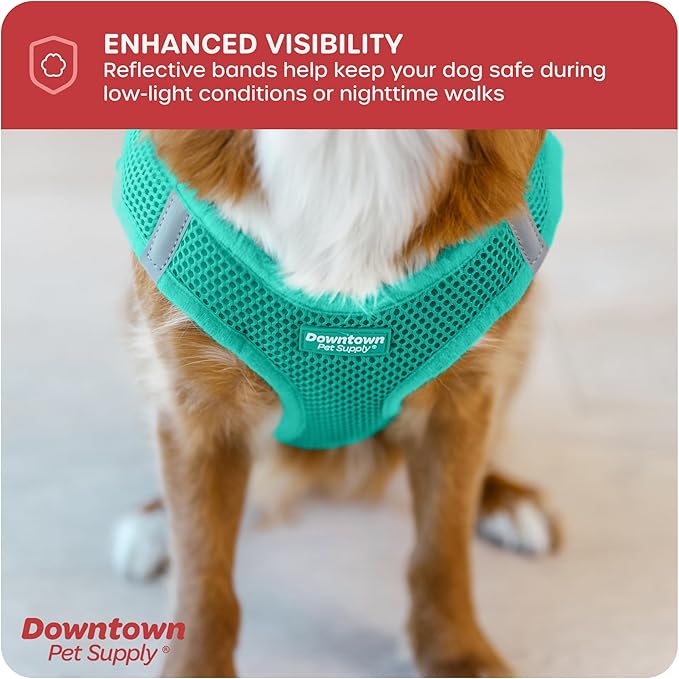Downtown Pet Supply Step in Dog Harness for Small Dogs No Pull, Medium, Bermuda Blue - Adjustable Harness with Padded Mesh Fabric and Reflective Trim - Buckle Strap Harness for Dogs