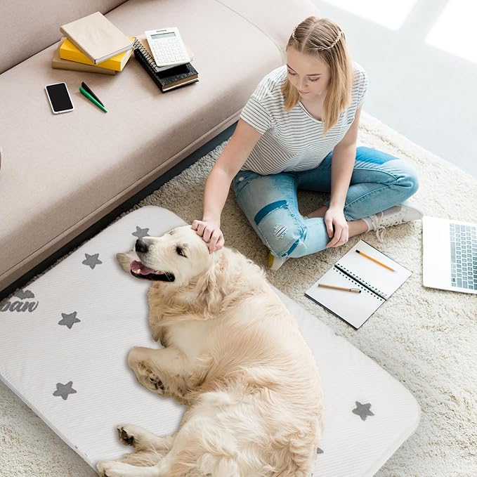 Biloban Waterproof Dog Beds for (Large) Dogs, Washable Mat Pad, Memory Foam Dog Beds & Furniture for Small/Medium Large/XL/XXL Pet with Removable Cover (Light Grey)