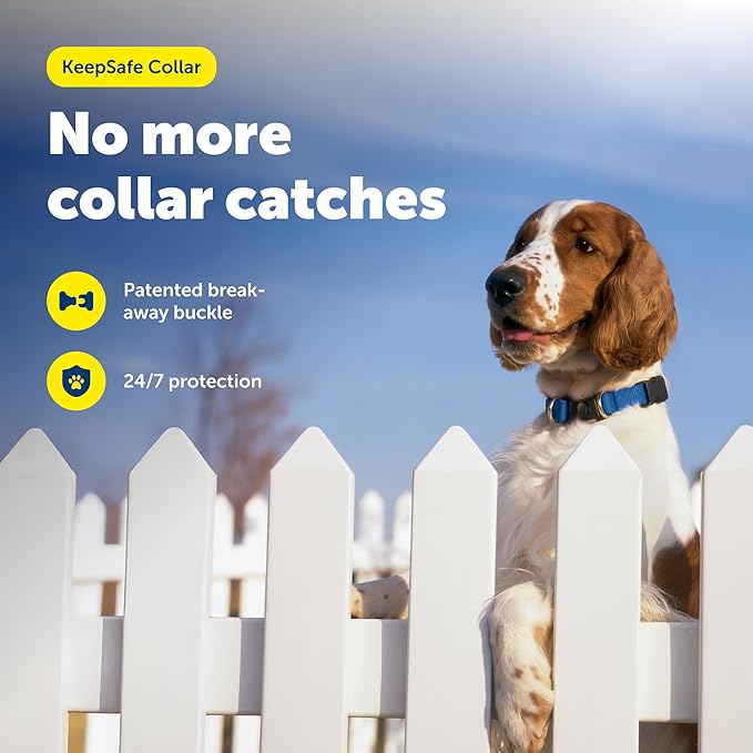 PetSafe KeepSafe Collar for Dogs - Protects Against Collar Accidents - Long Lasting - Durable - Adjustable - Breakaway - Outdoor-Safe - Medium - 1 In. Wide - Blue