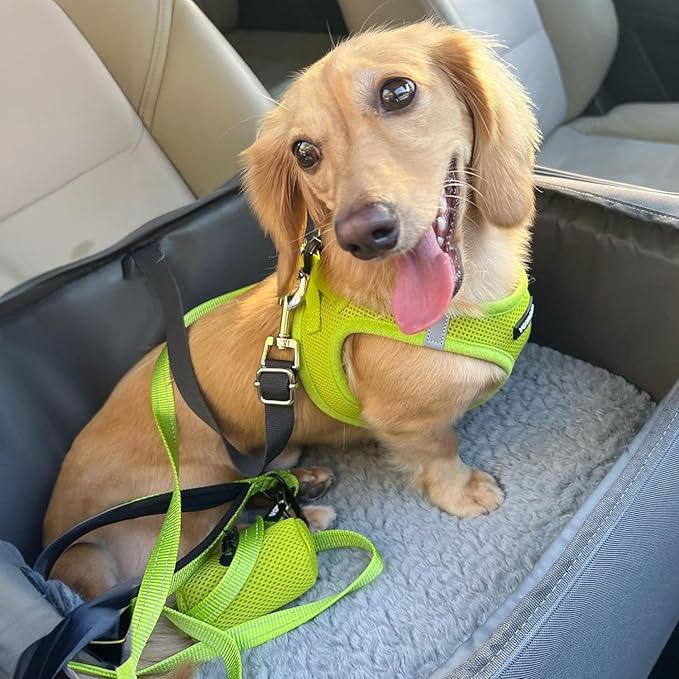 Best Pet Supplies Voyager Step-in Air All Weather Mesh Harness and Reflective Dog 5 ft Leash Combo with Neoprene Handle, for Small, Medium and Large Breed Puppies - Set (Lime Green), M