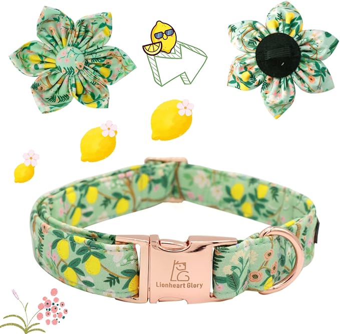 Lionheart Glory Dog Collar, Dog Collar with Flower, Cute Lemon Floral Pattern Pet Collar Adjustable Dog Collar for Large Dogs