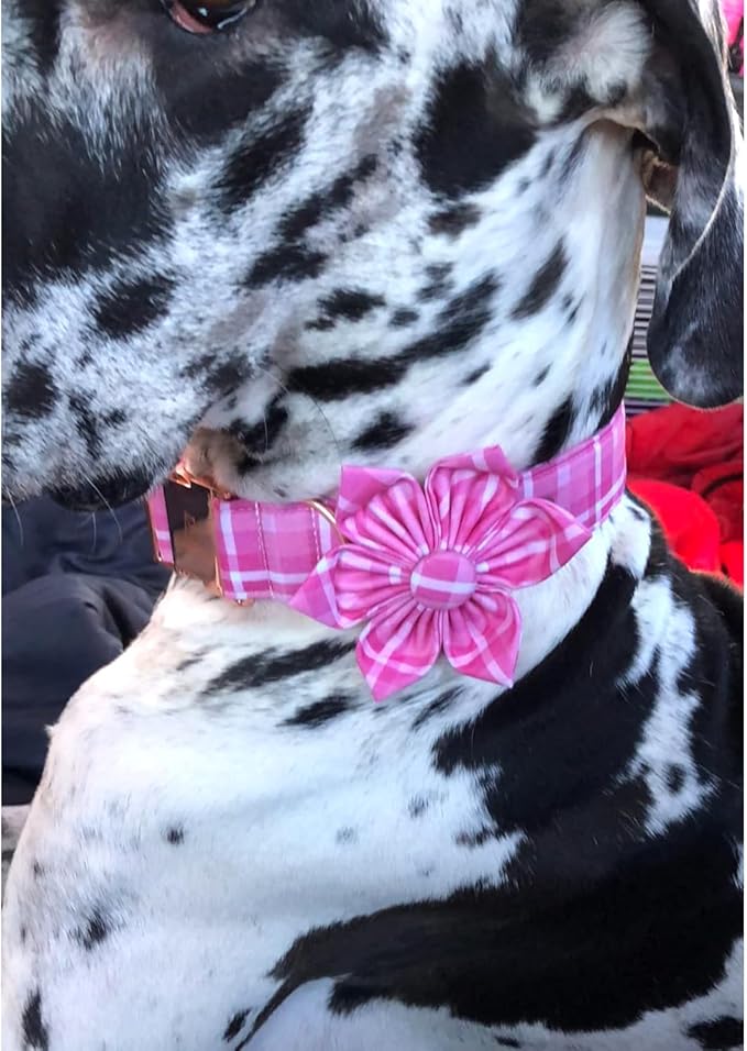 Lionheart Glory Dog Collar, Pink Dog Collar with Flower, Cute Floral Pattern Pet Collar Adjustable Pet Collar for Medium Dogs