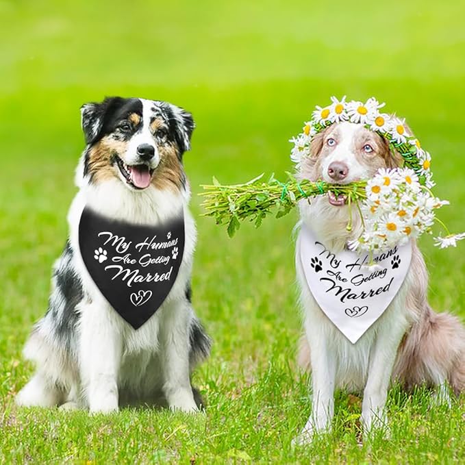 SZEE Engagement Gifts for Couples, 2 Pack My Humans are Getting Married Dog Bandanas, Wedding or Bridal Shower Gifts for Bride, Dog Wedding Bandanas, Engagement Party Decorations (White & Black, L)