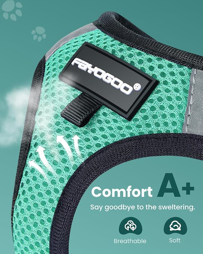 FAYOGOO Escape Proof Cat Harness and Leash Set for Walking, Secure-Fit Step-in Cat Vest Harness, Soft & Lightweight for Kittens and Large Cats