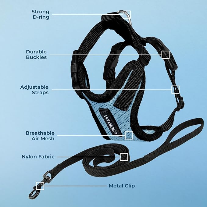 Voyager Escape-Proof Step-in Lock Cat Harness & 5ft Neoprene-Handle Leash Set All-Weather Mesh with Reflective Stitching for Small to Large Cats by Best Pet Supplies, Baby Blue/Black Trim, S