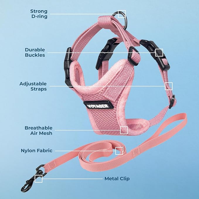 Voyager Escape-Proof Step-in Lock Cat Harness & 5ft Neoprene-Handle Leash Set All-Weather Mesh with Reflective Stitching for Small to Large Cats by Best Pet Supplies, Pink, XXS