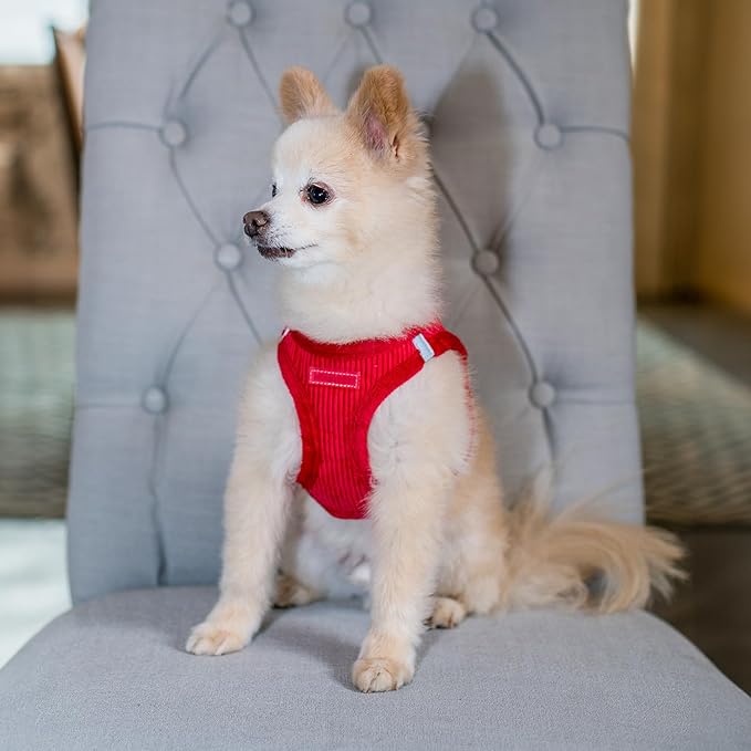 Best Pet Supplies - All Weather Plush, Reflective, No Pull Harness for Small, Medium Dogs, Cats - Secure with Hook & Loop Fastener, Buckle, Double D-Rings - Harness (Red Corduroy), S