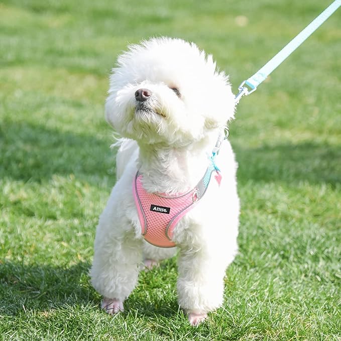 AIITLE Escape Proof Dog Harness - Step in Adjustable Dog Harness No Choke Over with Breathable Mesh and Quick-Release Buckle for All Weather- Outdoor Walking, Training for Medium Dogs Pink XL