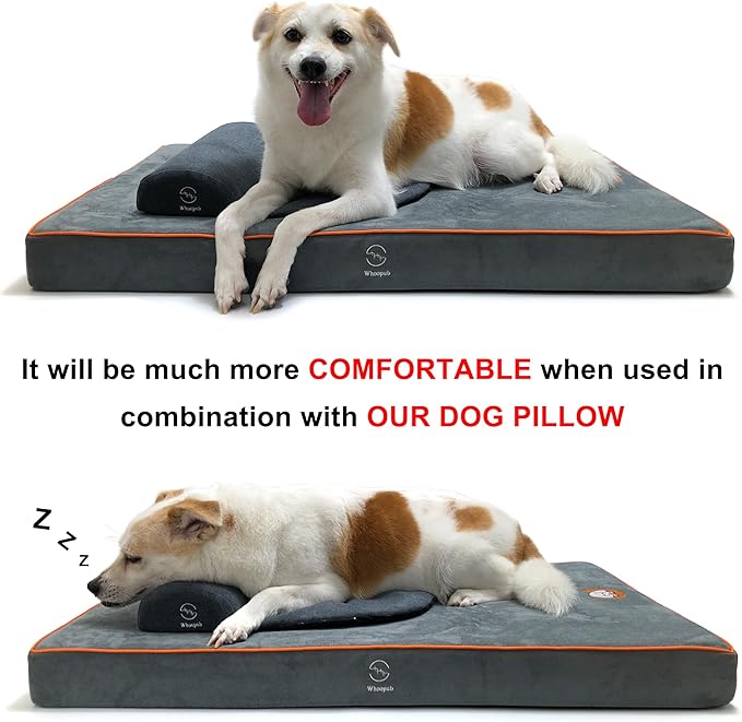 Hard-Wearing Orthopedic Dog Bed for Crate, 35x22 Inch, Made of Memory and HR Foam, Two-Sided Use, Providing Soft and Relatively Hard Support, with an Extra Inner Waterproof Protector (Gray)