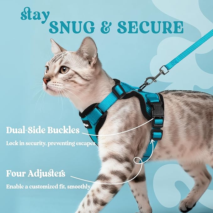 rabbitgoo Cat Harness and Leash for Walking, Escape Proof Soft Adjustable Vest Harnesses for Cats, Easy Control Breathable Reflective Strips Jacket, Teal, M