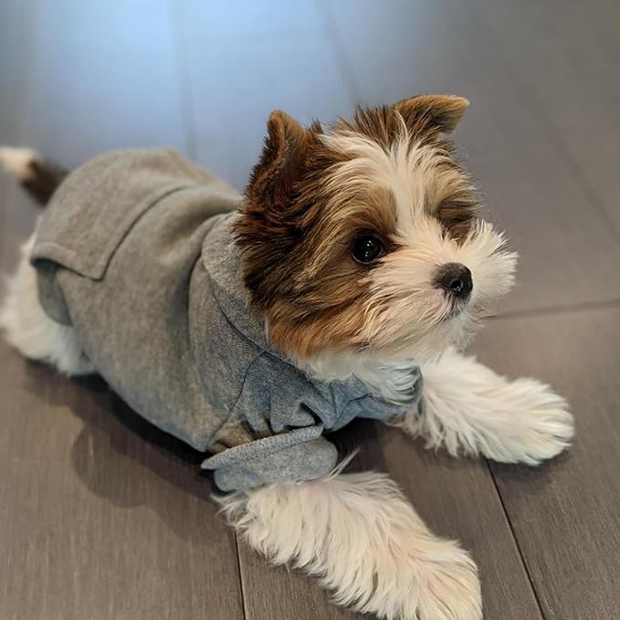Jecikelon Winter Dog Hoodie Sweatshirts with Pockets Warm Dog Clothes for Small Dogs Chihuahua Coat Clothing Puppy Cat Custume (Grey, XX-Small)