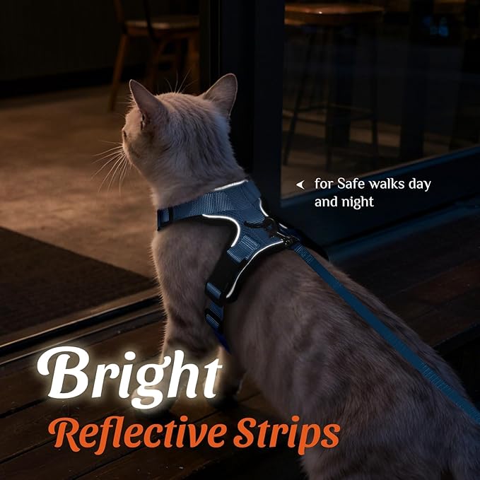 Dooradar Cat Harness and Leash Set, Escape Proof Safe Adjustable Kitten Vest Harnesses for Walking, Easy Control Soft Breathable Mesh Jacket with Reflective Strips for Cats, Light Blue, S