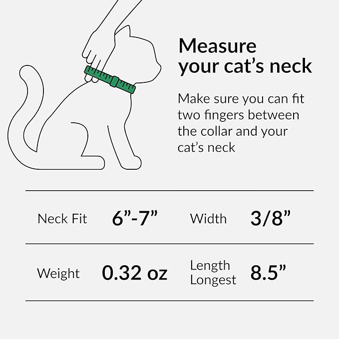 CollarDirect Leather Cat Collar with Removable Bell (Pink, 6-7 Inch)