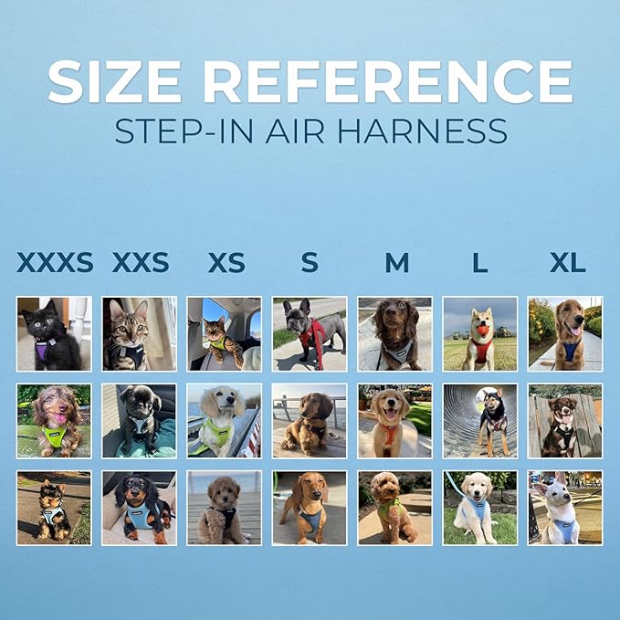 Best Pet Supplies Voyager Step-in Air All Weather Mesh Harness and Reflective Dog 5 ft Leash Combo with Neoprene Handle, for Small, Medium and Large Breed Puppies - Gray (2-Tone), L