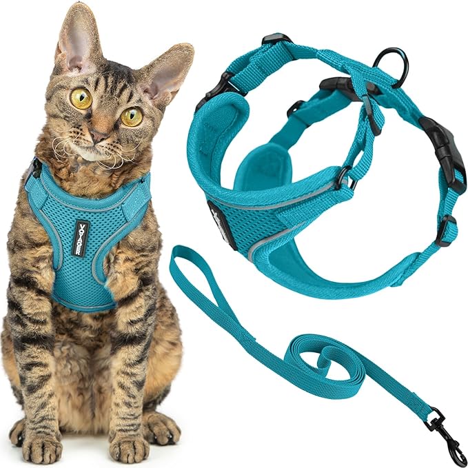 Voyager Escape-Proof Step-in Lock Cat Harness & 5ft Neoprene-Handle Leash Set All-Weather Mesh with Reflective Stitching for Small to Large Cats by Best Pet Supplies, Turquoise (327), M