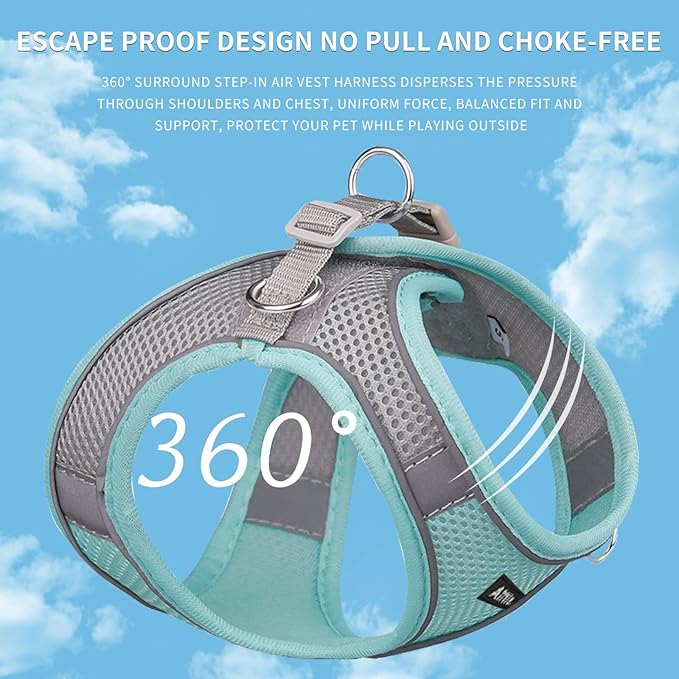 AIITLE Easy Walk Dog Harness and Leash Set - Pet Supply No Pull, Step in Adjustable Pet Harnesses with Padded Vest for Summer, No Choke Over, Easy to Put on Medium Dogs Turquoise L