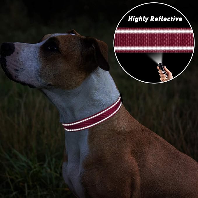 TagME Small Dog Collars, Adjustable Reflective Nylon Pet Collar with Quick Release Buckle for Small Dogs, Hot Pink, 5/8" Width