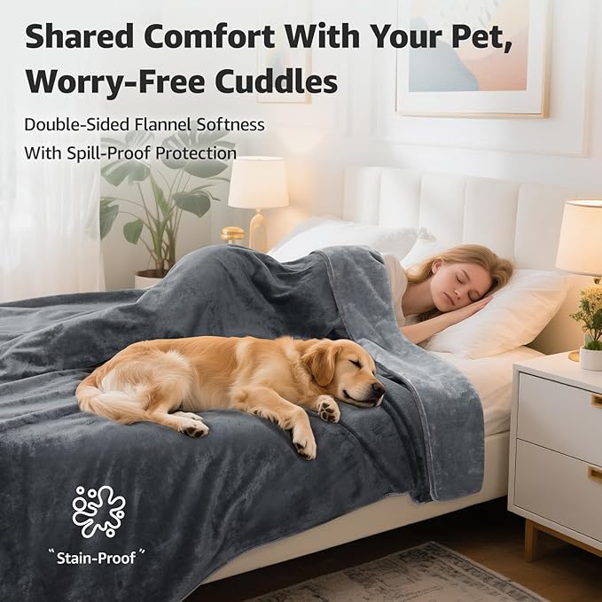 LOOBANI Waterproof Blanket for Bed: Reversible Soft Flannel Queen Bed Blanket 80" x 90", Waterproof Dog Blankets for Large Dogs, Spill-Proof Cover for Furniture Protection, Movie Time, Grey