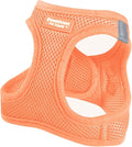 Downtown Pet Supply Step in Dog Harness for Large Dogs - Adjustable, Escape Proof Dog Harness with Reflective Trim - All-Weather, Fast-Drying Padded Mesh Fabric - Tangerine, X-Large