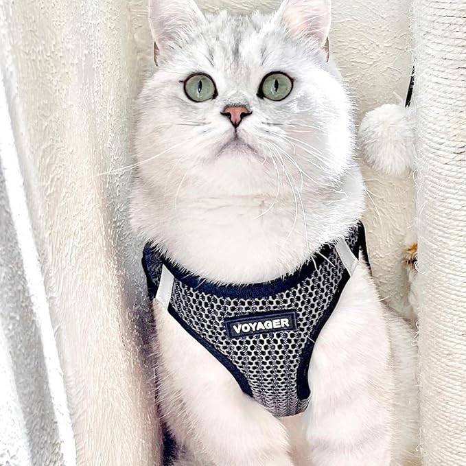 Best Pet Supplies - All Weather Mesh/Plush, Reflective, No Pull Harness for Small, Medium Dogs, Cats - Secure with Hook & Loop Fastener, Buckle, Double D-Rings - Gray 2-Tone, XS