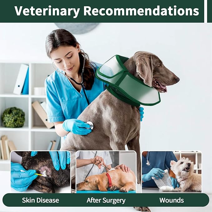 Allroaring Dog Cone Alternative, Soft Dog Cones for Large Dogs, Adjustable Doggie Recovery Cone Collar Comfy Pet Elizabethan Collars to Stop Licking for Wound Healing Care Spay Neuter, Green L