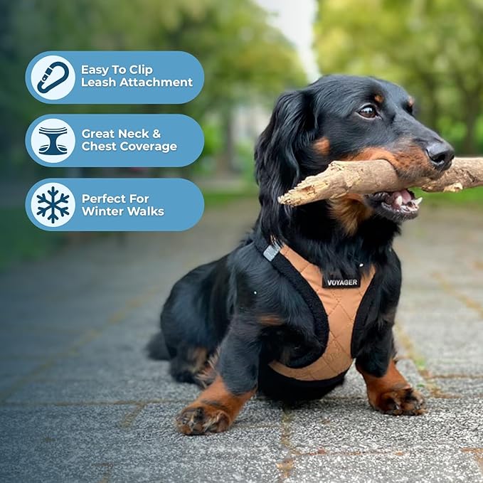Best Pet Supplies - All Weather Plush, Reflective, No Pull Harness for Small, Medium Dogs, Cats - Secure with Hook & Loop Fastener, Buckle, Double D-Rings - Beige Plush, L