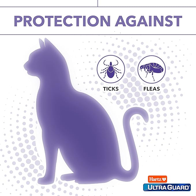 Hartz UltraGuard Flea & Tick Collar for Cats and Kittens,7 Month Flea and Tick Protection-and Prevention,White,(Pack of 2)