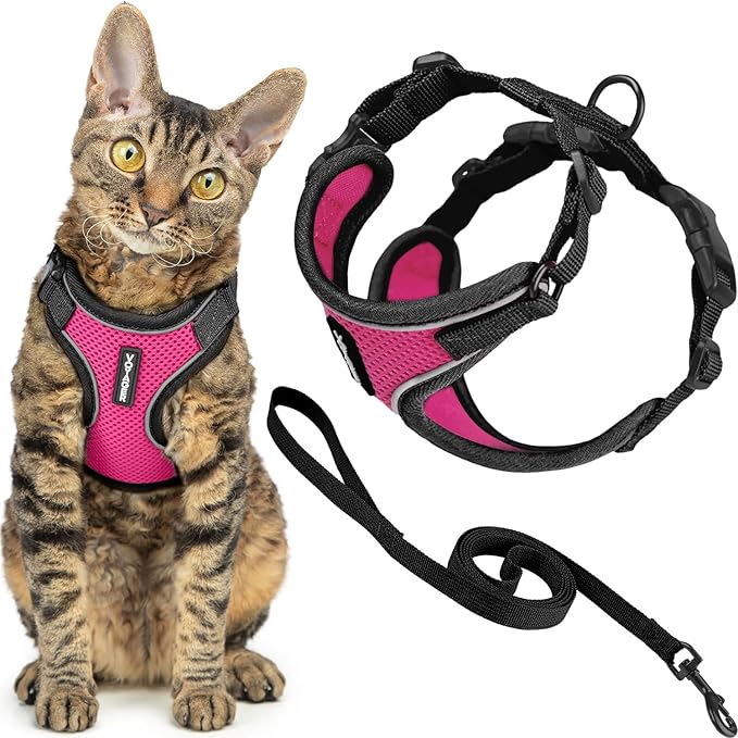 Voyager Escape-Proof Step-in Lock Cat Harness & 5ft Neoprene-Handle Leash Set All-Weather Mesh with Reflective Stitching for Small to Large Cats by Best Pet Supplies, Black Trim-Fuchsia (327), S