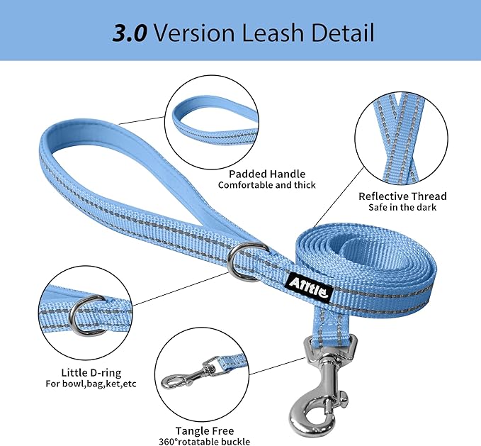 AIITLE Comfortable Dog Harness and Leash Set for Walking - Step in Vest Harness,Reflective Bands, Adjustable No Pull Puppy Essentials, for Small Dogs and House Cats Blue XS