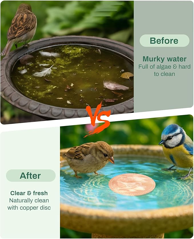Bird Bath Purification Disk Pure Copper Outside Winter Solar Power Birdbath Wild Hummingbird Pedestal Fountain Cleaner Outside Humming Feeder Cage Dispenser Heater Outdoor Concrete Winter 3PCS