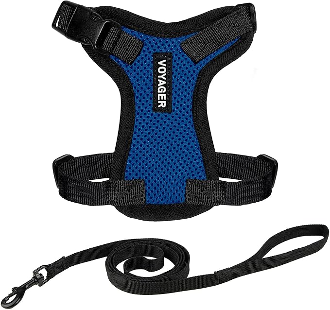 Voyager Escape-Proof Step-in Lock Cat Harness & 5ft Neoprene-Handle Leash Set All-Weather Mesh with Reflective Stitching for Small to Large Cats by Best Pet Supplies, Royal Blue/Black Trim, XXS