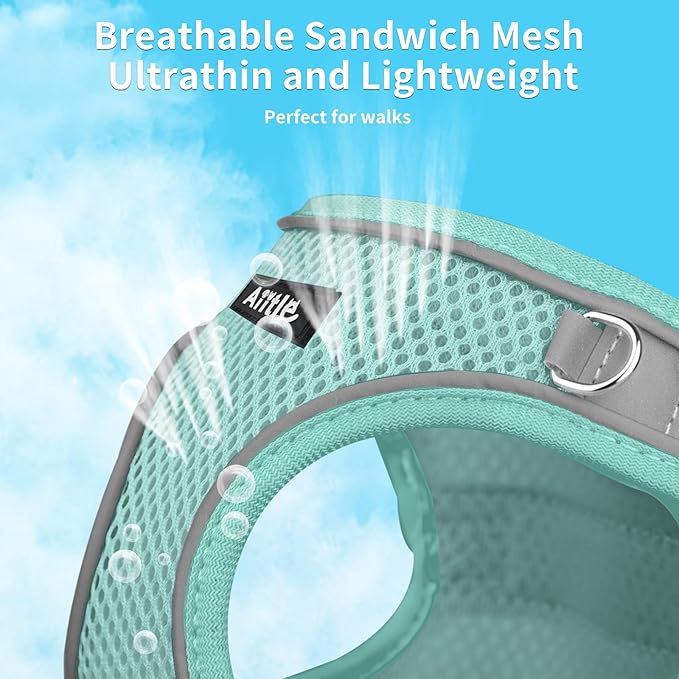 AIITLE Small Harness for Puppy with A Leash - Dog Vest Harness with Super Breathable Mesh, Reflective No-Pull Pet Harness for Outdoor Walking, Running for Small Dogs, Cats Pure Turquoise XXS