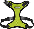 Voyager Step-in Pet Harness - All Weather Mesh, Adjustable Step in Harness for Cats and Dogs by Best Pet Supplies - Lime Green/Black Trim, S